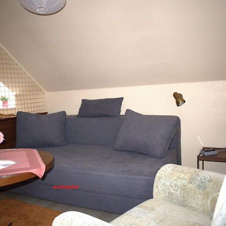 Birkenstuebchen Apartment Lautenthal Bagian luar foto
