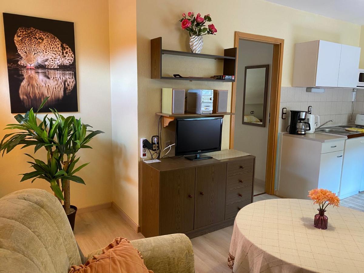 Birkenstuebchen Apartment Lautenthal Bagian luar foto