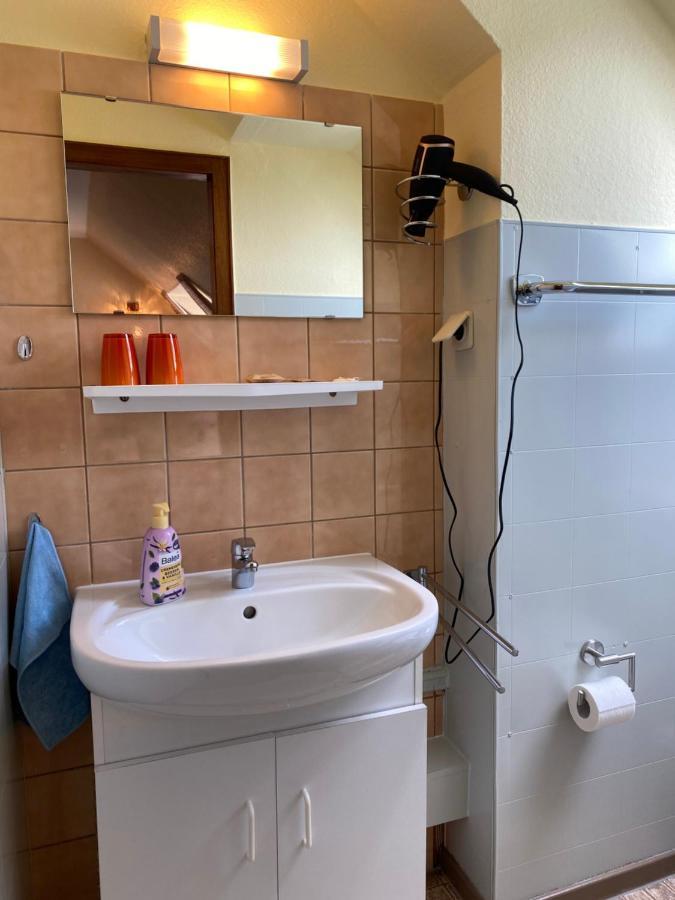 Birkenstuebchen Apartment Lautenthal Bagian luar foto