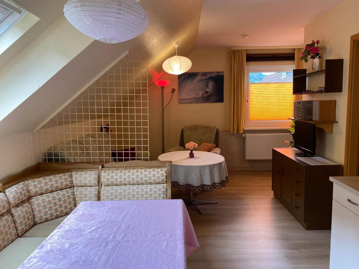 Birkenstuebchen Apartment Lautenthal Bagian luar foto