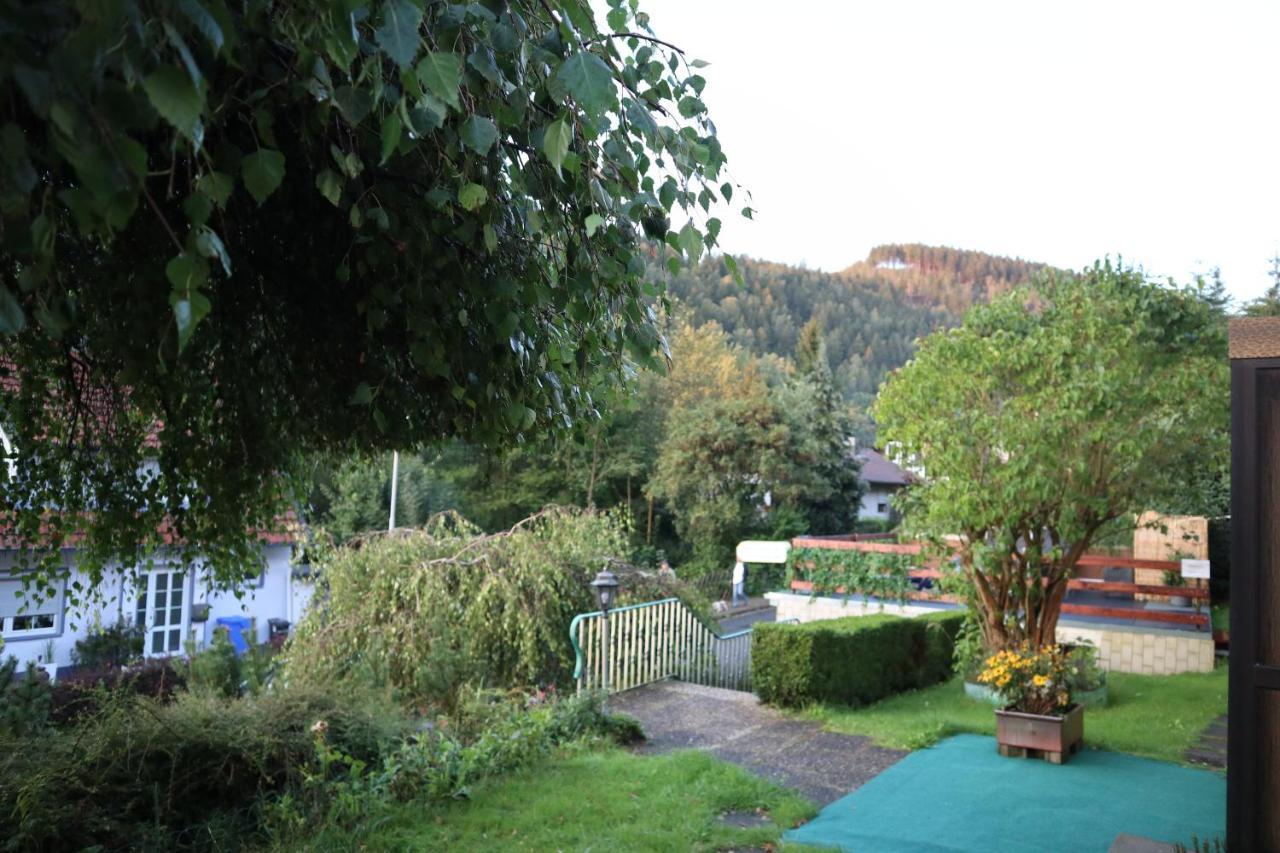 Birkenstuebchen Apartment Lautenthal Bagian luar foto
