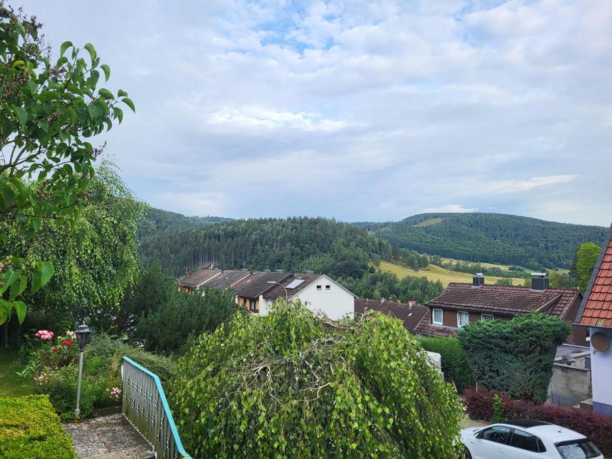 Birkenstuebchen Apartment Lautenthal Bagian luar foto