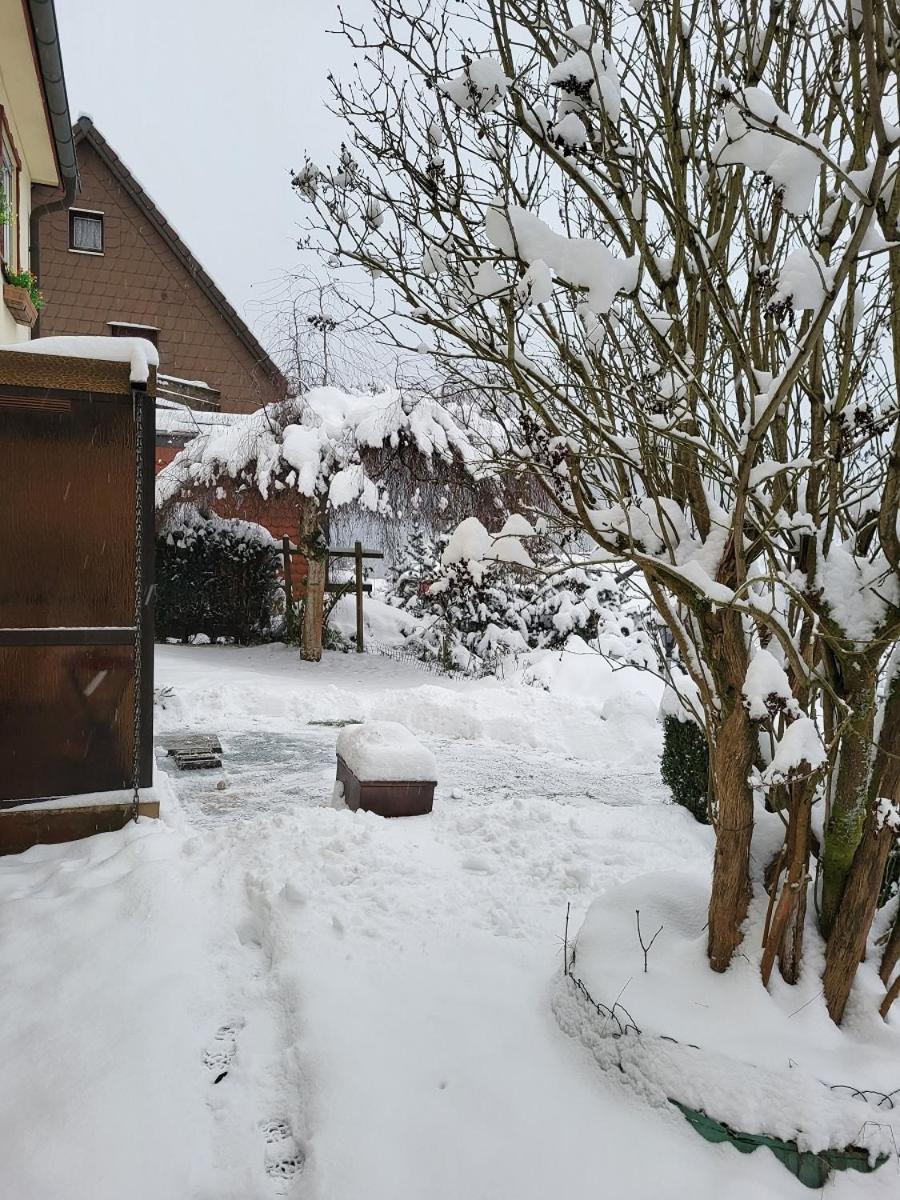 Birkenstuebchen Apartment Lautenthal Bagian luar foto
