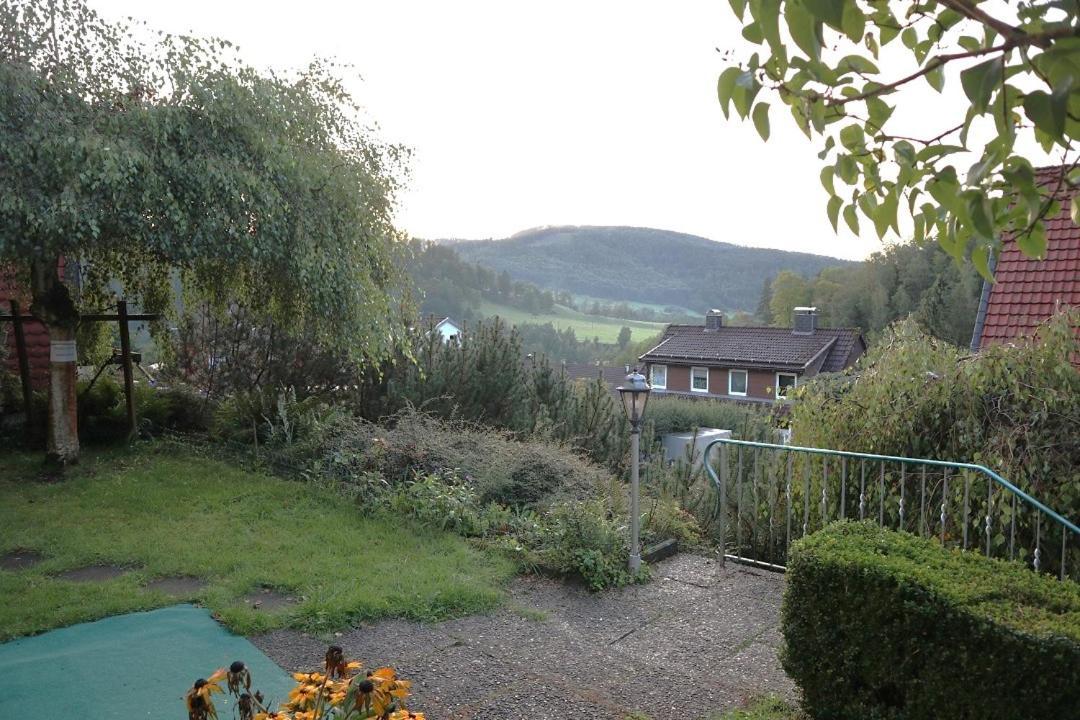 Birkenstuebchen Apartment Lautenthal Bagian luar foto