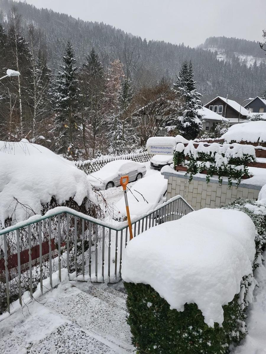 Birkenstuebchen Apartment Lautenthal Bagian luar foto